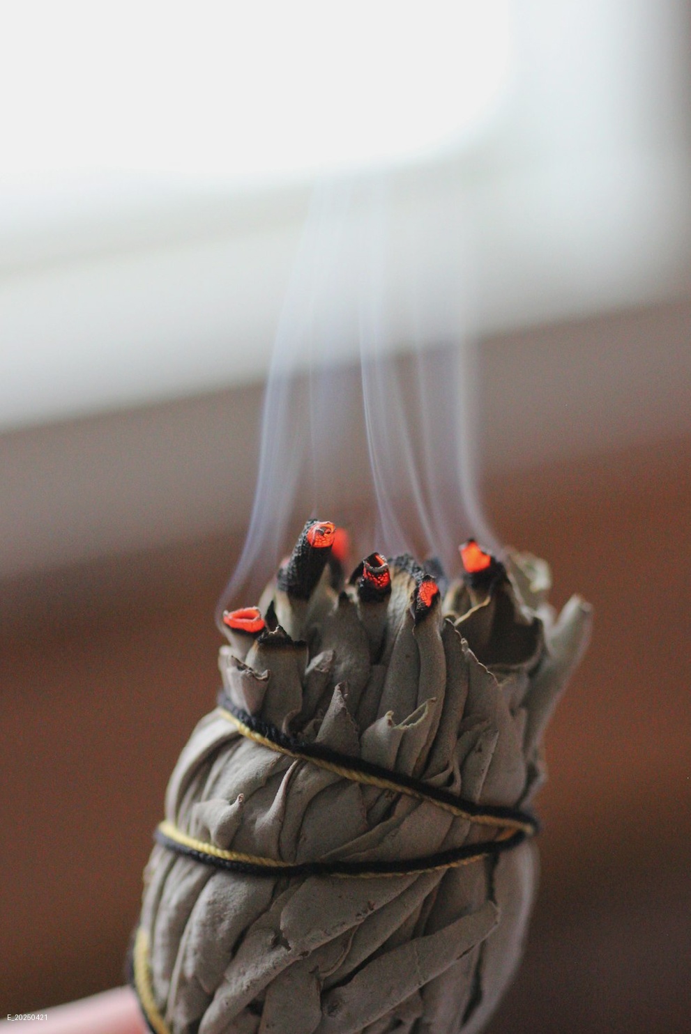 image from Elevating Leadership: The Transformative Power of Economic Training and Spiritual Growth